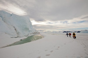 Walking to the Emperor Penguin colony on Snow Hill Island photo with Cheesemans' Ecology Safaris