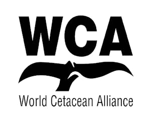 Cheesemans' Ecology Safaris supports World Cetacean Alliance