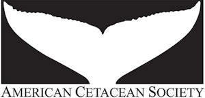 Cheesemans' Ecology Safaris supports American Cetacean Society