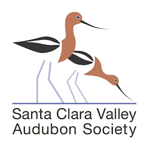 Cheesemans' Ecology Safaris supports Santa Clara Valley Audubon Society