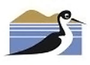 Cheesemans' Ecology Safaris supports San Francisco Bay Bird Observatory