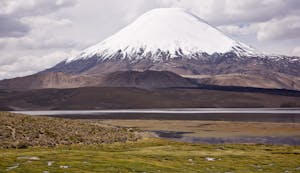 Lauca National Park © Cheesemans' Ecology Safaris