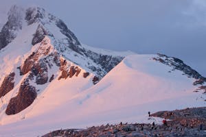 Booth Island © Cheesemans' Ecology Safaris