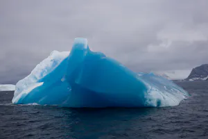 Iceberg © Cheesemans' Ecology Safaris