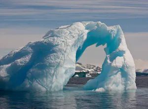 Iceberg © Cheesemans' Ecology Safaris