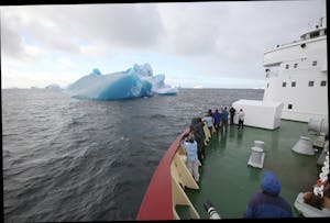 Iceberg © Cheesemans' Ecology Safaris