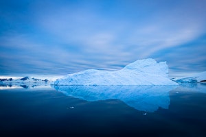 Iceberg © Scott Davis