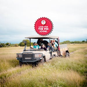 Botswana Vehicle © Mike Quinn