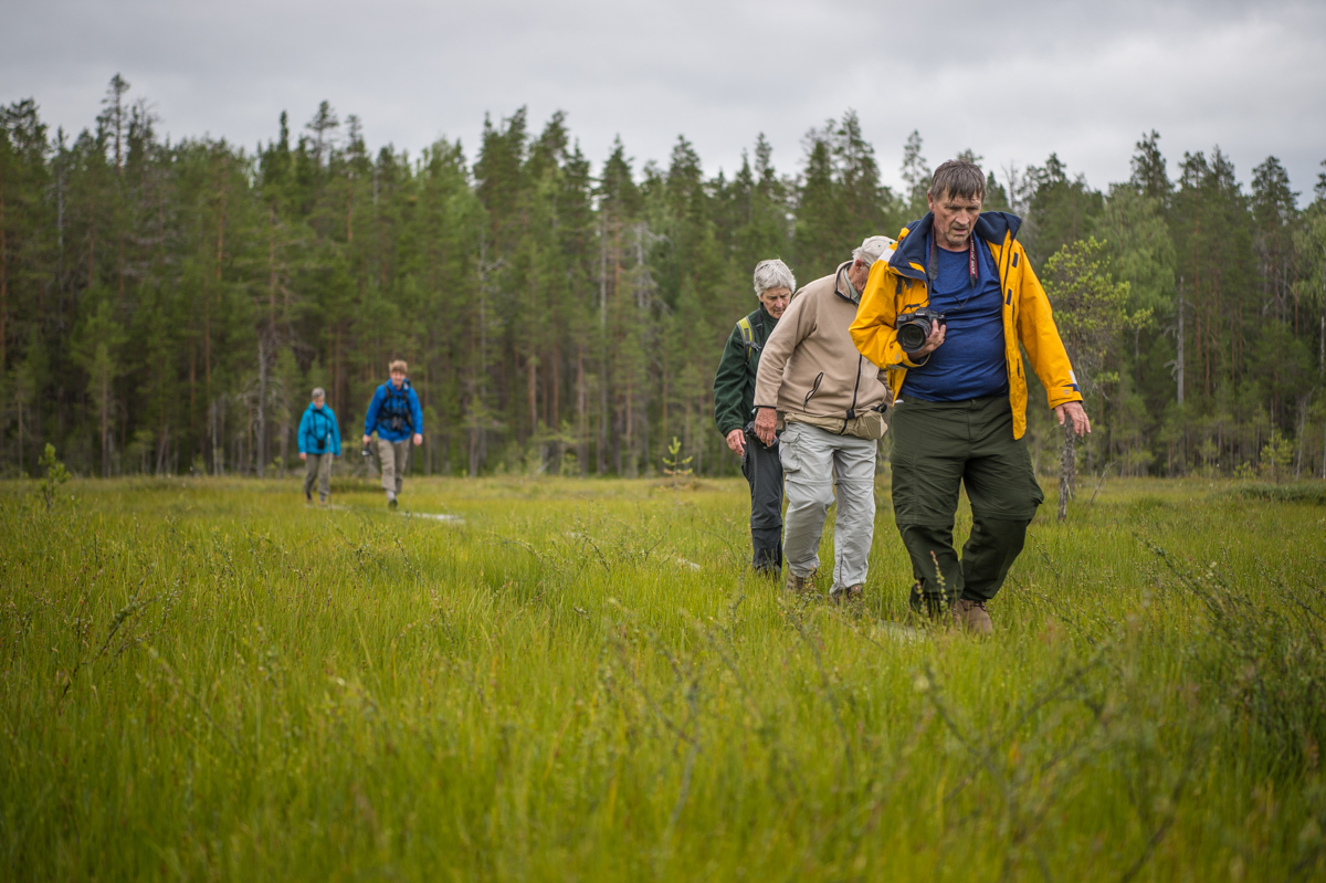 Travelers On The Move © Billy Herman