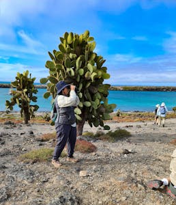 Traveler © Gina Barton