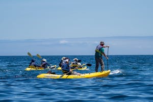 Travelers © Gina Barton