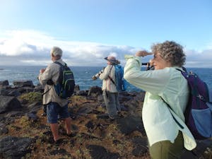 Travelers © Gina Barton