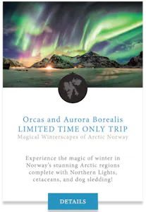 Orcas and Aurora Borealis