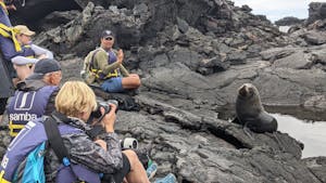 Travelers © Gina Barton