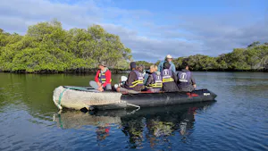Travelers © Gina Barton