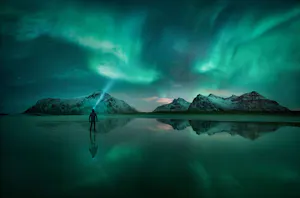 Northern Lights © Cheesemans' Ecology Safaris