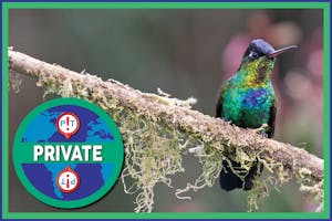 Costa Rica Private Trip