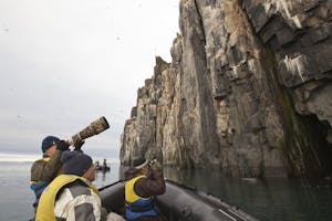 Bird Nesting© Cheesemans' Ecology Safaris