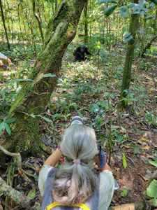 Traveler and Chimpanzee © Adam Walter