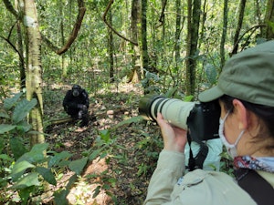 Traveler and Chimpanzee © Adam Walter