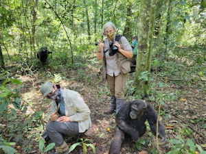 Travelers and Chimpanzee © Adam Walter