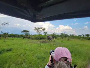 Elephant © Adam Walter