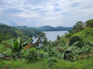 Landscape © Adam Walter