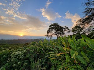 Landscape © Adam Walter