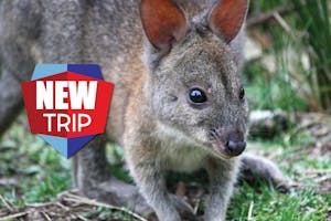 Southern Australia Exclusive Trip