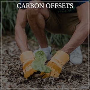 CARBON OFFSETS