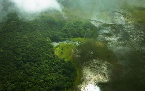 AERIAL VIEW OF FOREST