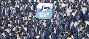 Penguin Watch