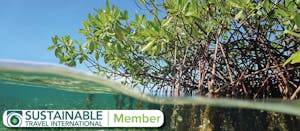 Sustainable Travel International