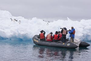 Zodiac© Cheesemans' Ecology Safaris