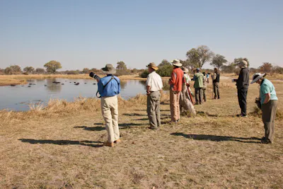 Botswana hippo pools