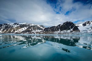 Landscape © Scott Davis