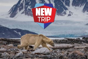 Svalbard Islands June 27 to July 10, 2024