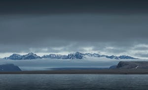 Landscape © Scott Davis