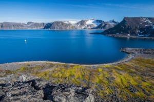 Landscape © Scott Davis