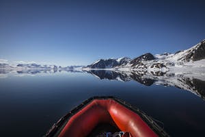 Zodiac © Scott Davis