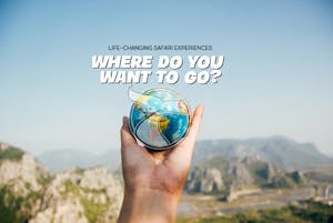 Cheesemans' Ecology Safaris