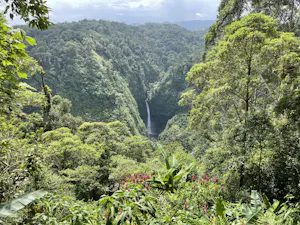 Landscape © Cheesemans' Ecology Safaris