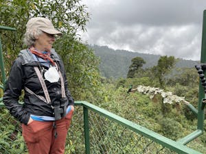 Traveler © Cheesemans' Ecology Safaris