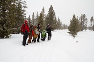 Yellowstone National Park © Debbie Thompson