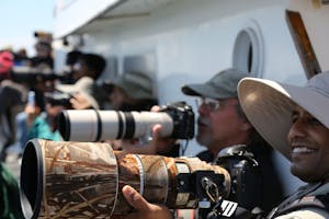 Monterey Whale Watching © Cheesemans' Ecology Safaris