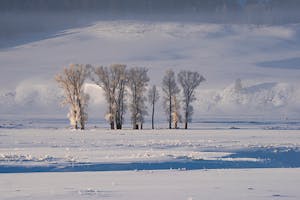 Landscape © Ted Tatarzyn