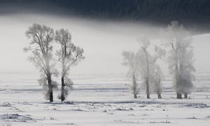 Landscape © Ted Tatarzyn