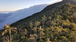 Santa Marta Mountains © JJ Arango