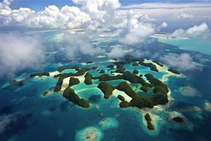 Palau Islands © Cheesemans’ Ecology Safaris