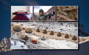 for Snow Leopards in India